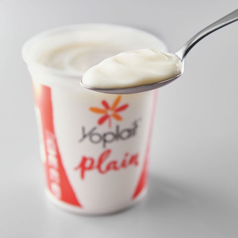 Yoplait YOGURT PLAIN ALL NATURAL FAT FREE BULK