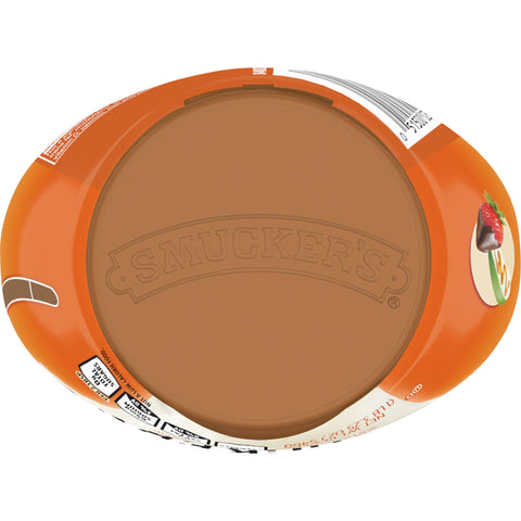 Topping Caramel Sauce Liquid Sugar-free Shelf Stable Tff