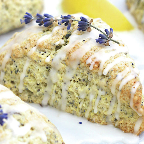 Pillsbury® SCONE DOUGH LEMON POPPYSEED FTO