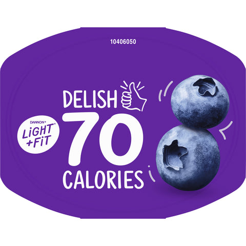 Yogurt Blueberry Original Light N Fit