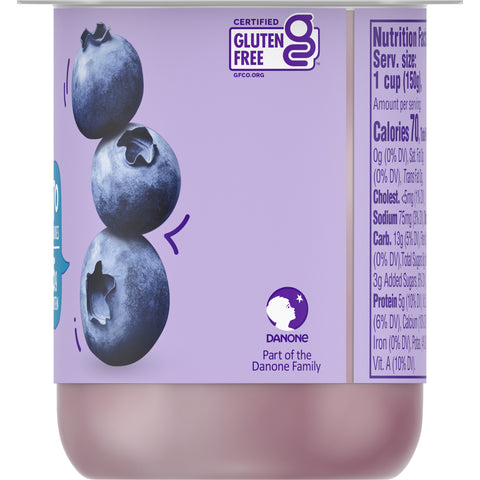 Yogurt Blueberry Original Light N Fit