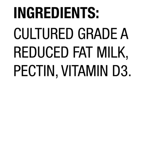 Yogurt Plain All Natural Low Fat
