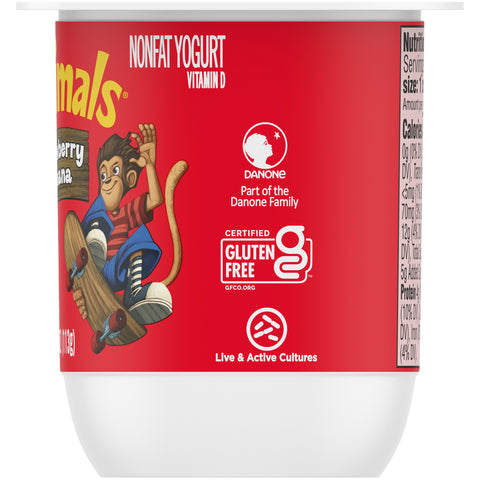 Yogurt Strawberry Banana Crunch