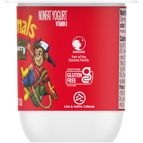 Yogurt Strawberry Blended Non Fat