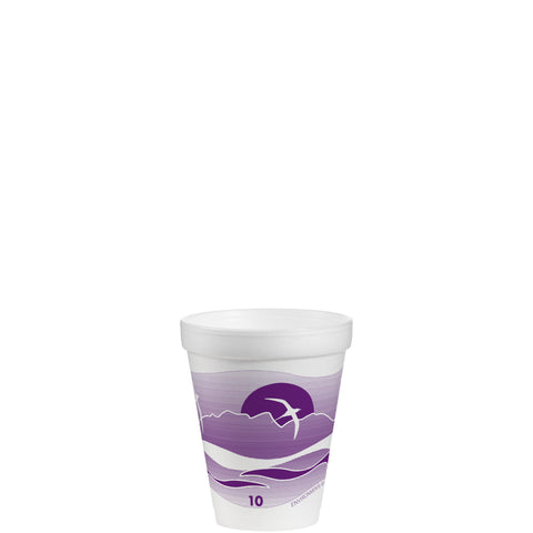 Dart CUP FOAM HORIZON PLUM 10 OZ