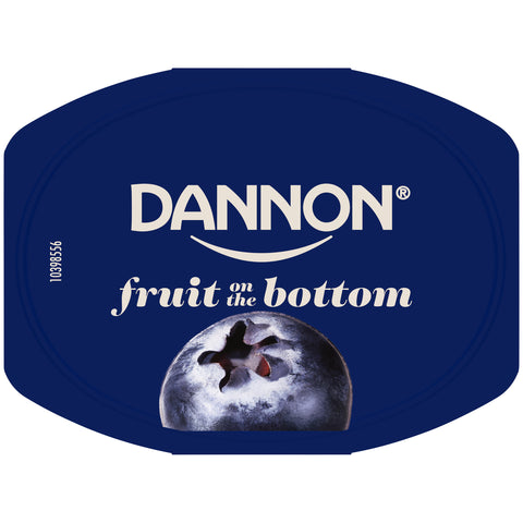 Yogurt Blueberry Low Fat Fruit On The Bottom