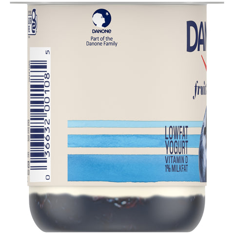 Yogurt Blueberry Low Fat Fruit On The Bottom