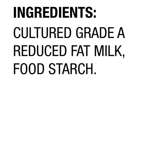 Yogurt Plain All Natural Low Fat