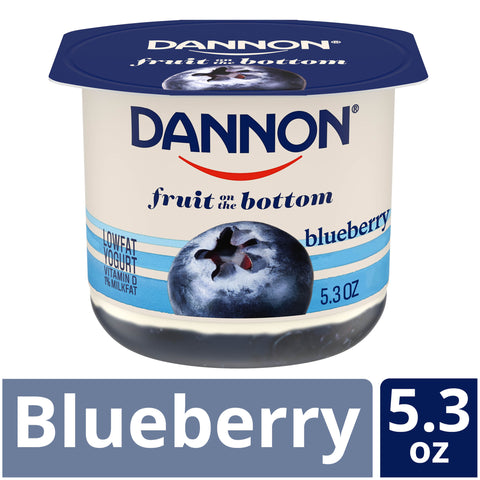 Yogurt Blueberry Low Fat Fruit On The Bottom