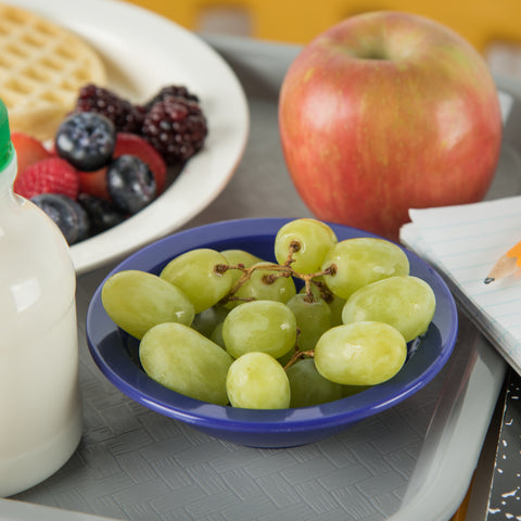 Bowl Fruit Rimmed Polycarbonate Dark Blue 5 Oz