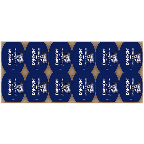 Yogurt Blueberry Low Fat Fruit On The Bottom