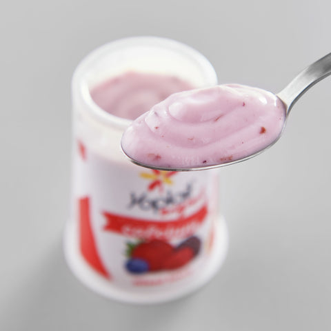 Yoplait Original Mixed Berry Yogurt, 6 Ounce -- 12 per case