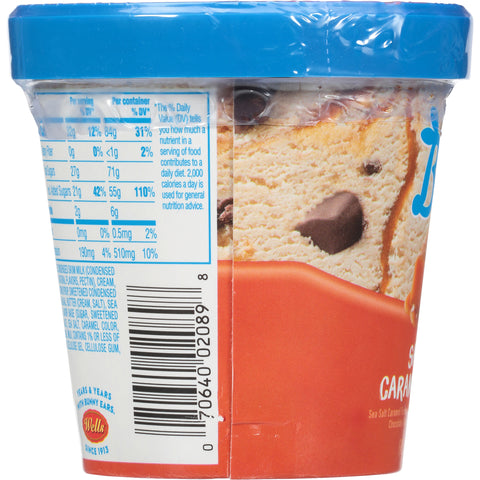 Ice Cream Salted Caramel Craze