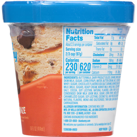 Ice Cream Salted Caramel Craze