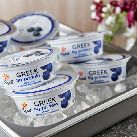 Yoplait Protein Blueberry Greek Yogurt, 3.5 Ounce -- 24 per case.