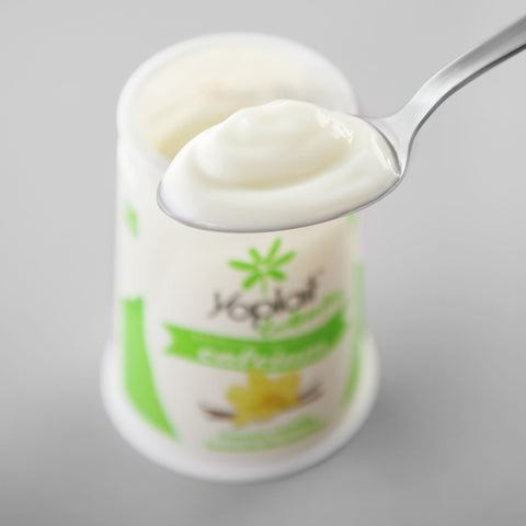 Yoplait Lactose Free French Vanilla Yogurt, 6 Ounce -- 12 per case.