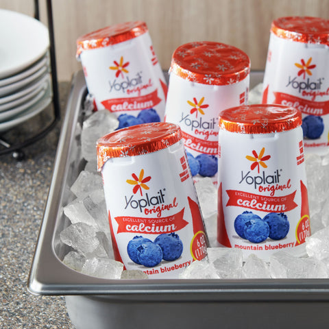Yoplait Original Mountain Blueberry Yogurt, 6 Ounce -- 12 per case