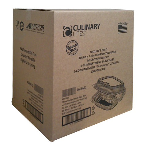 Container Plastic Hinged Black Base Clear Lid 3-compartment Cl91031 10.5x9.5