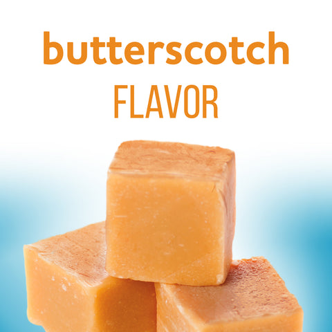 Jell-O PUDDING MIX BUTTERSCOTCH INSTANT