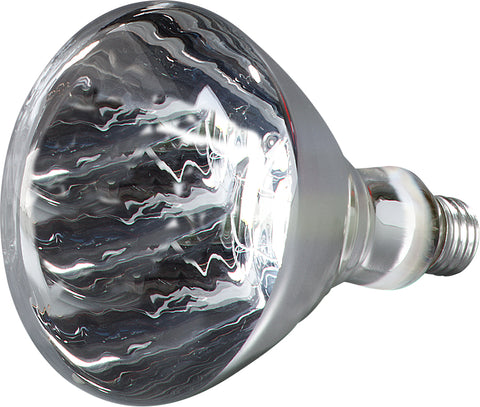 Carlisle BULB REPLACEMENT WHITE 250 WATT