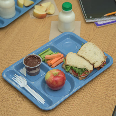 Tray School Left Hand 6 Compartment Blue