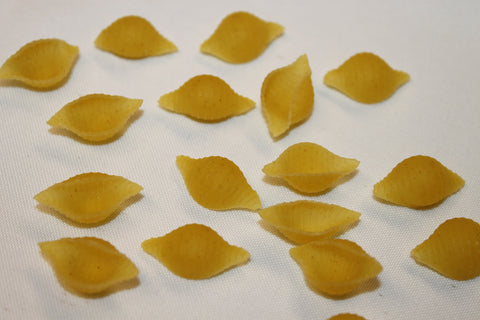 Pasta Shell Medium