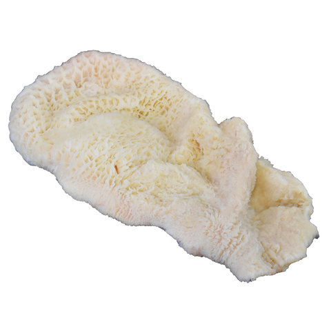 IBP® BEEF TRIPE HONEYCOMB FROZEN
