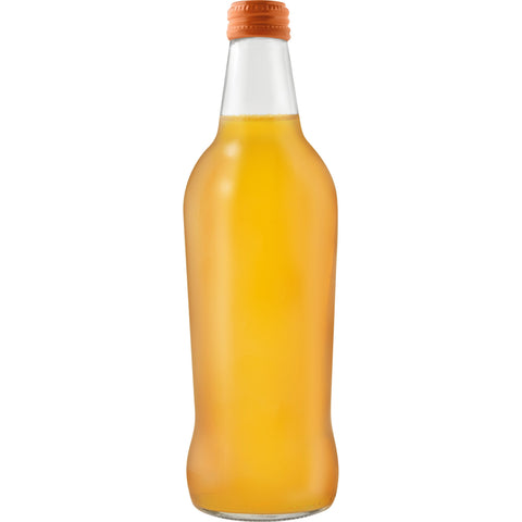 Izze JUICE CLEMENTINE SPARKLING GLASS BOTTLE