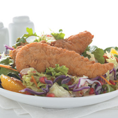 Chicken Tenderloin Breaded Whole Muscle Fritter 10475-0928