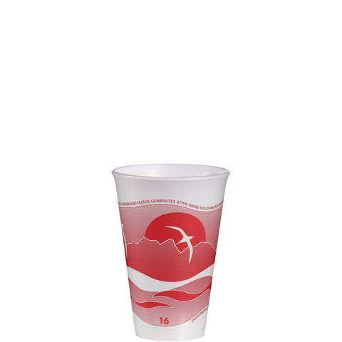 Dart Horizon® CUP FOAM HORIZON CRANBERRY 16 OZ