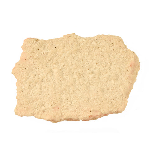 Advance Food Deluxe Whole Muscle Pork Fritter, 5.33 Ounce -- 30 per case.