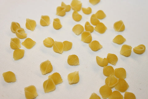 Zerega PASTA SMALL SEA SHELLS