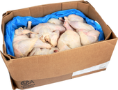 Tyson's Pride® CHICKEN WHOLE WOG ESL 2.50-2.75 10086080928