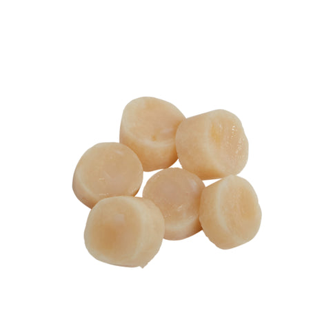 Panapesca SCALLOP MEDALLION IQF 20-30 CT