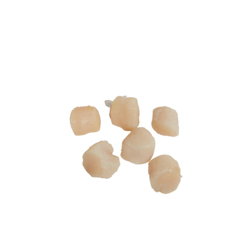 Sea Legend SCALLOP DRY IMPORTED IQF 60-80 CT