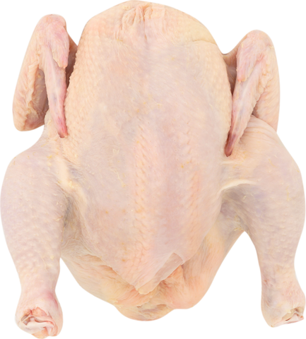 Tyson® CHICKEN WHOLE WOG ESL 3.25-3.50 10080950928