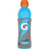 Gatorade DRINK GATORADE COOL BLUE PLASTIC BOTTLE