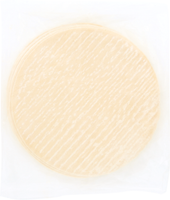Mexican Original® TORTILLA FLOUR STRETCHED 10