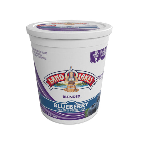 Land O Lakes® YOGURT BLUEBERRY LOW FAT