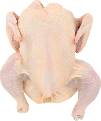 Tyson® CHICKEN WHOLE WOG MARINATED ESL 3.00-3.50 LB 10105710928
