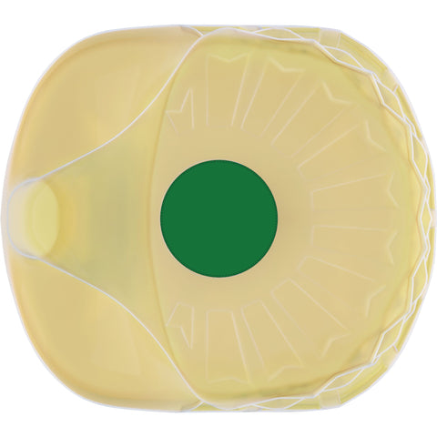 Oil Canola Pure