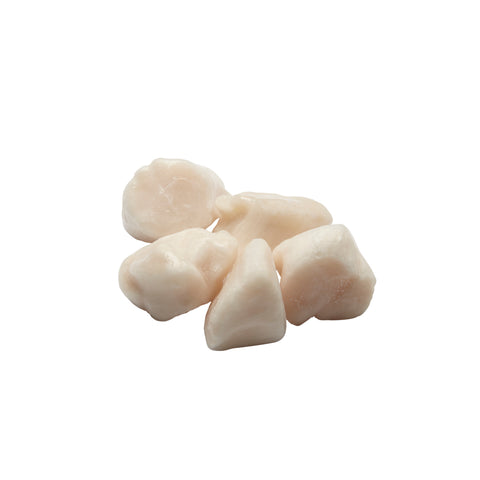 Sea Legend SCALLOP SEA USA NATURAL 10/20