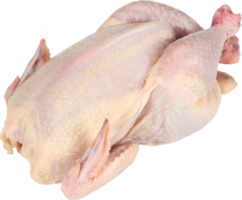 Tyson® CORNISH HEN WHOLE PREMIUM GRADE 18-20 OZ 10069150928