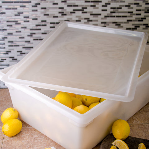 Lid Storage Container 