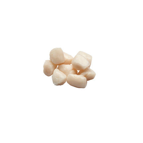 Sea Legend SCALLOP BAY DRY 80/100 RAW IQF