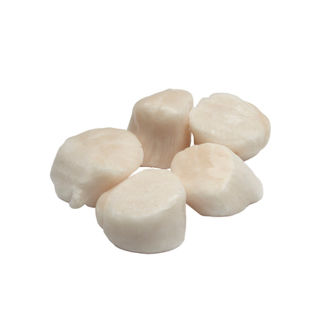 Sea Legend SCALLOP SEA 30/40 W/A RAW IQF