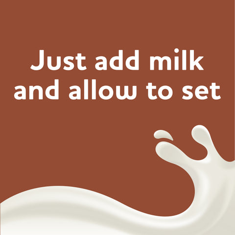 Pudding Mix Chocolate Instant Sugar Free