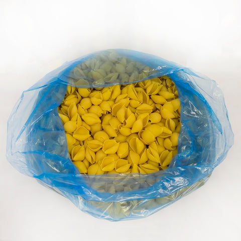 Zerega PASTA SHELL JUMBO