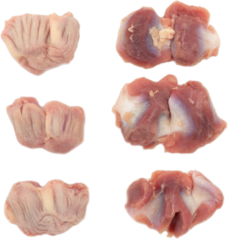 Chicken Gizzards Esl Cvp 169-0928