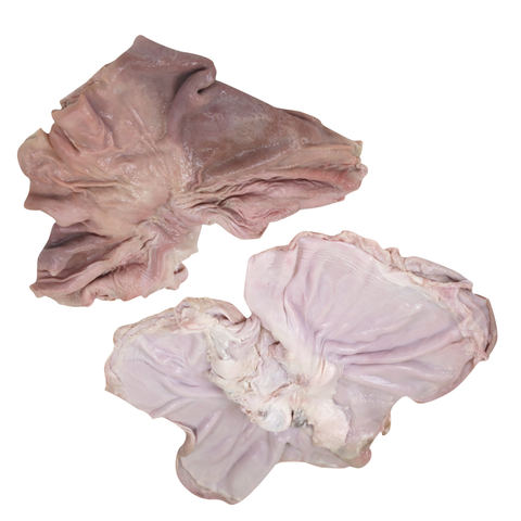 IBP® PORK STOMACH SCALDED FROZEN